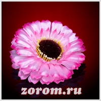 Заколки для волос с цветком R2162d